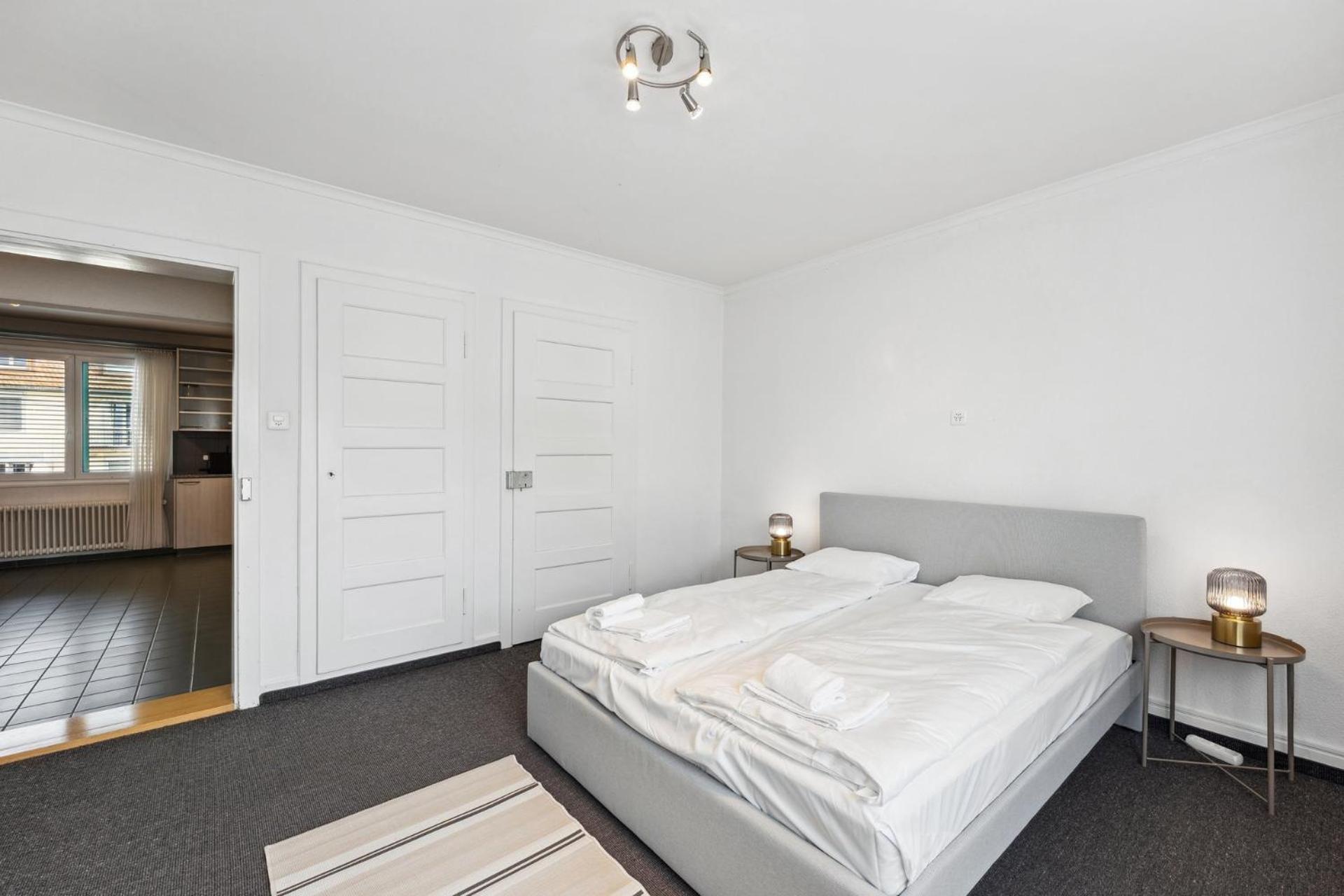 Comfortable Stay In Oerlikon 20 Minutes Away From Zurich Airport エクステリア 写真